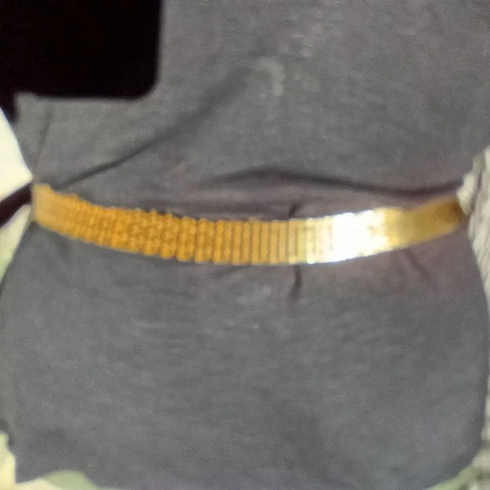 Vintage Stretch Fish Scale Women's Gold and Silver Belt
